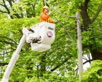 Expand photo of TM3 crew member installing LED fixtures on street light